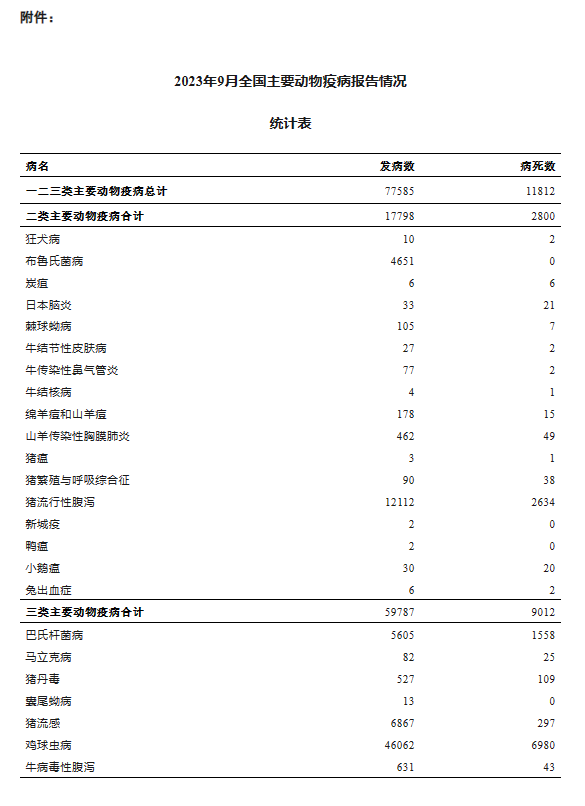 特别关注.png