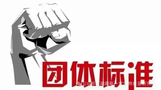微信图片_20240812171925.png